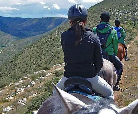 Green House Village Tatil Evi *
